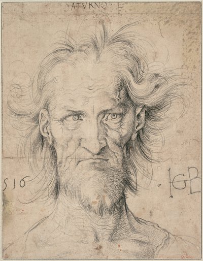 Head of a Bearded Old Man (Saturn), 1516 by Albrecht Dürer